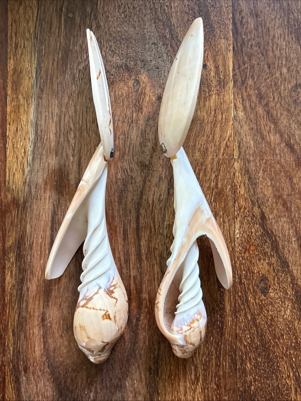 Beautiful and unique fork & spoon hand carved conch sea shell - Picture 4 of 12